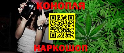 сатива Бузулук