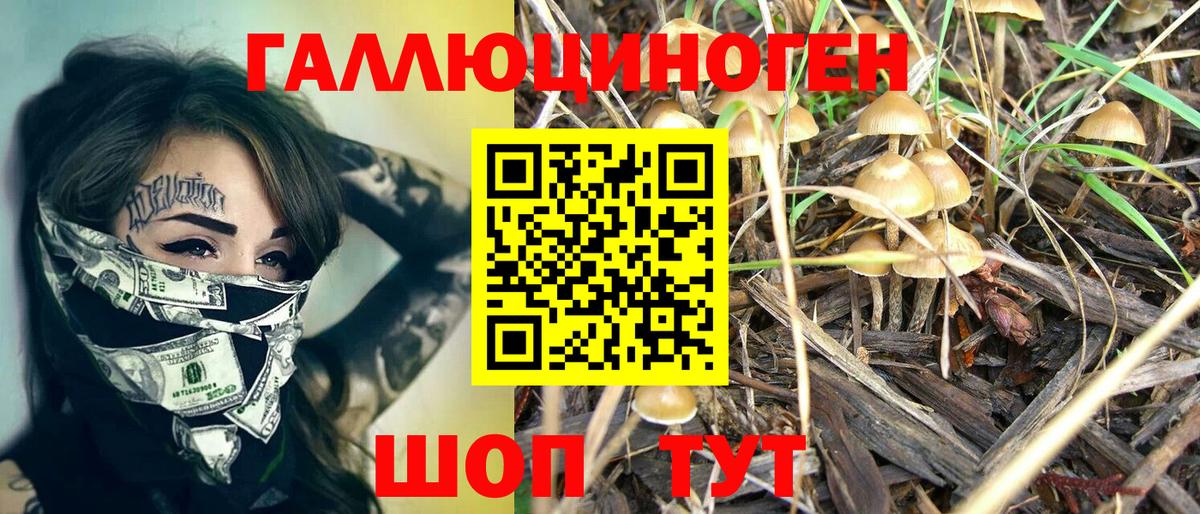 Псилоцибиновые грибы мицелий Красноуфимск